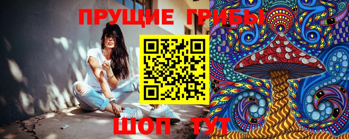 Псилоцибиновые грибы Psilocybe  Вход с VPN  Вязники 
