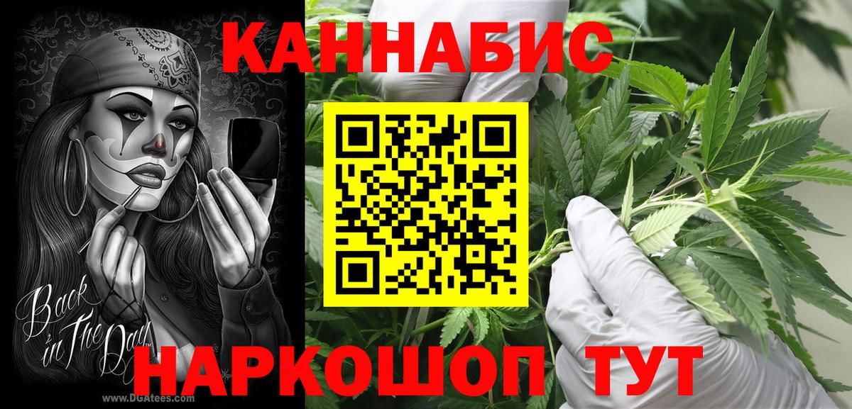 Марихуана планчик  Бошки марихуана VHQ  Конопля конопля  Вход с VPN  Вязники  Бошки Шишки Bruce Banner 